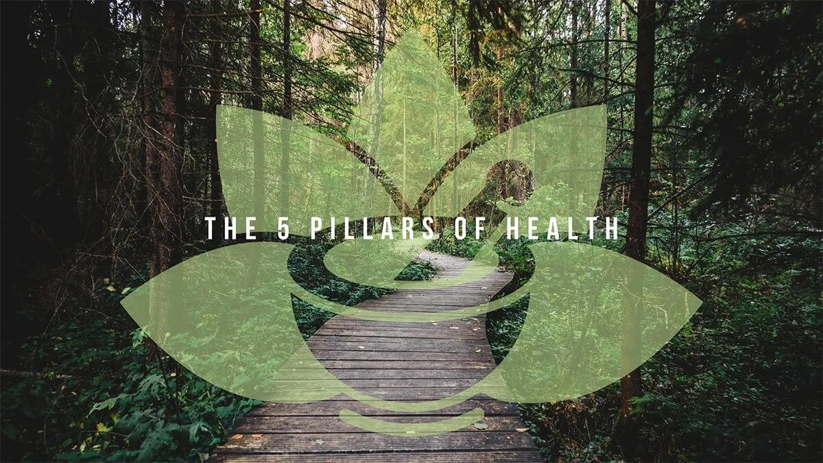 The 5 Pillars of Holistic Wellness